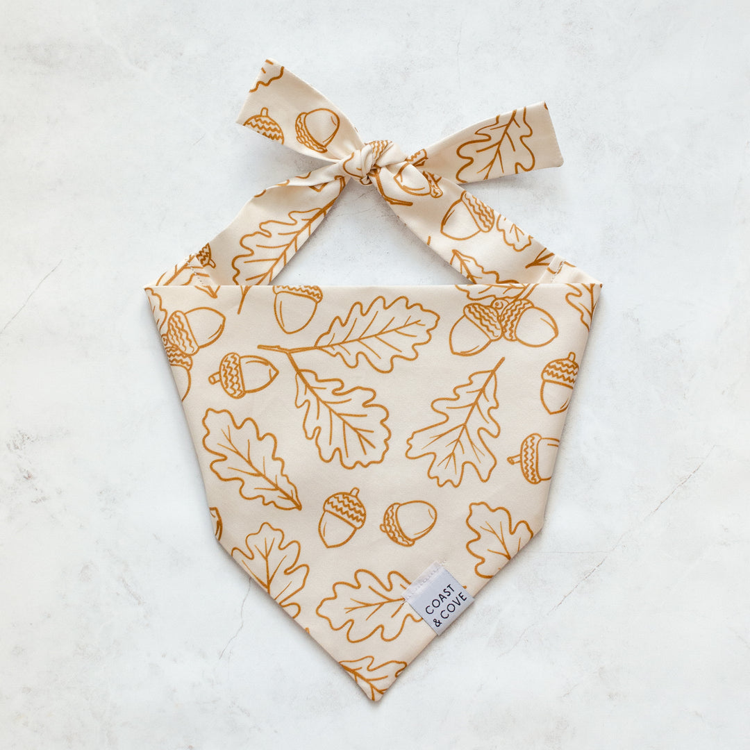 A Walk in the Woods Bandana