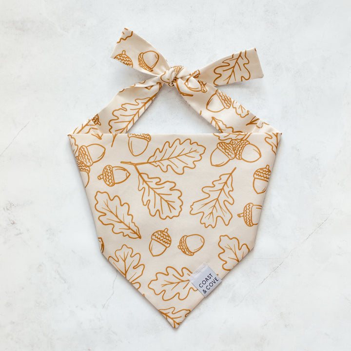 A Walk in the Woods Bandana