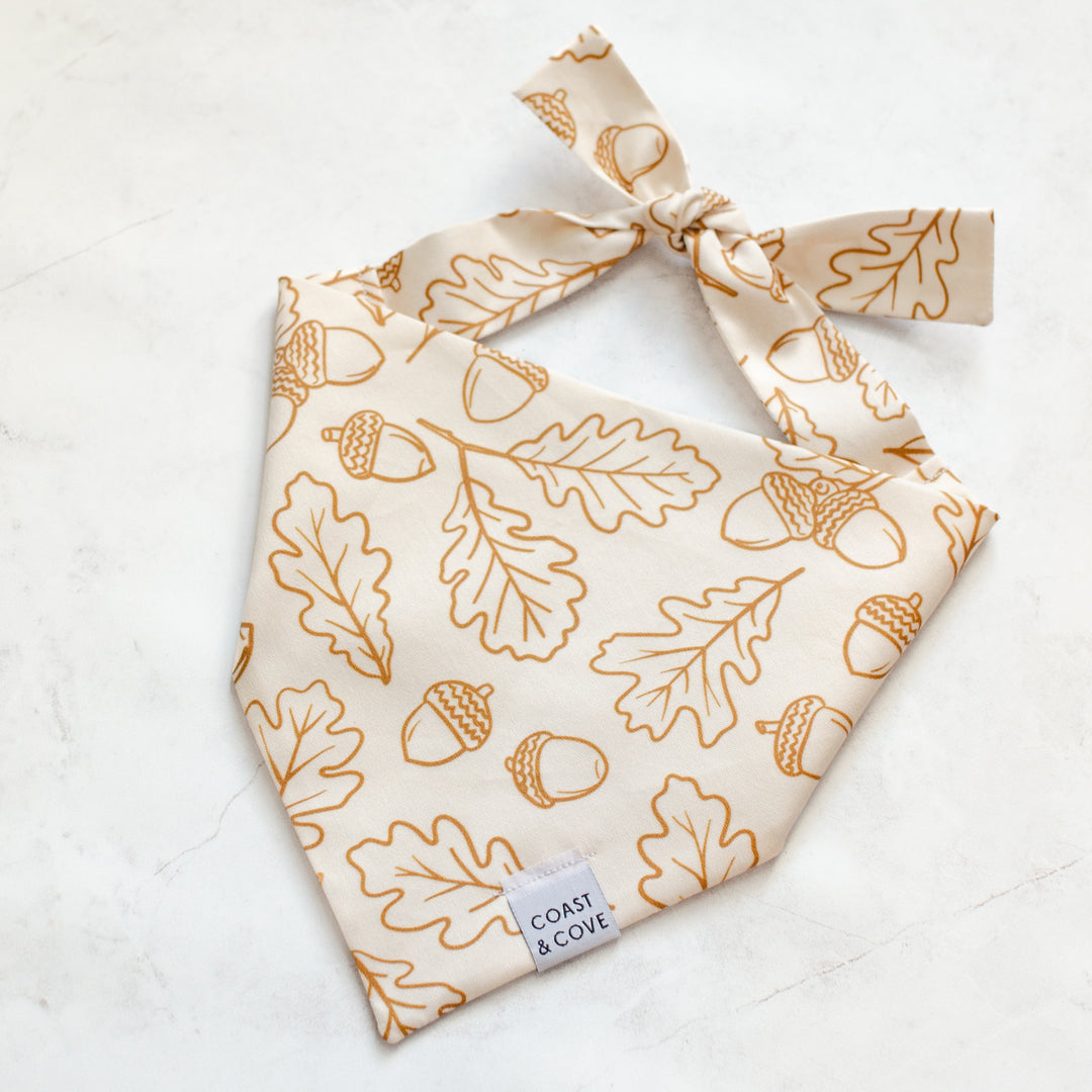 A Walk in the Woods Bandana