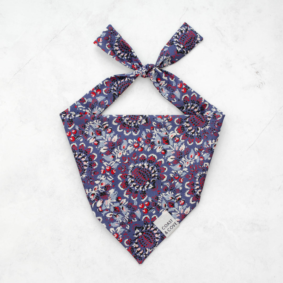 Americana Bandana