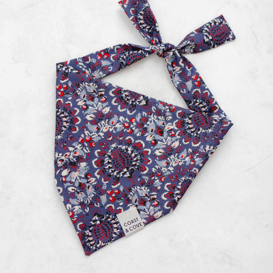 Americana Bandana