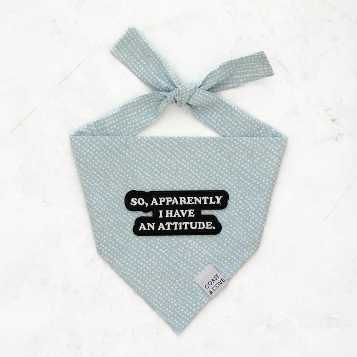 Apparent Attitude Bandana