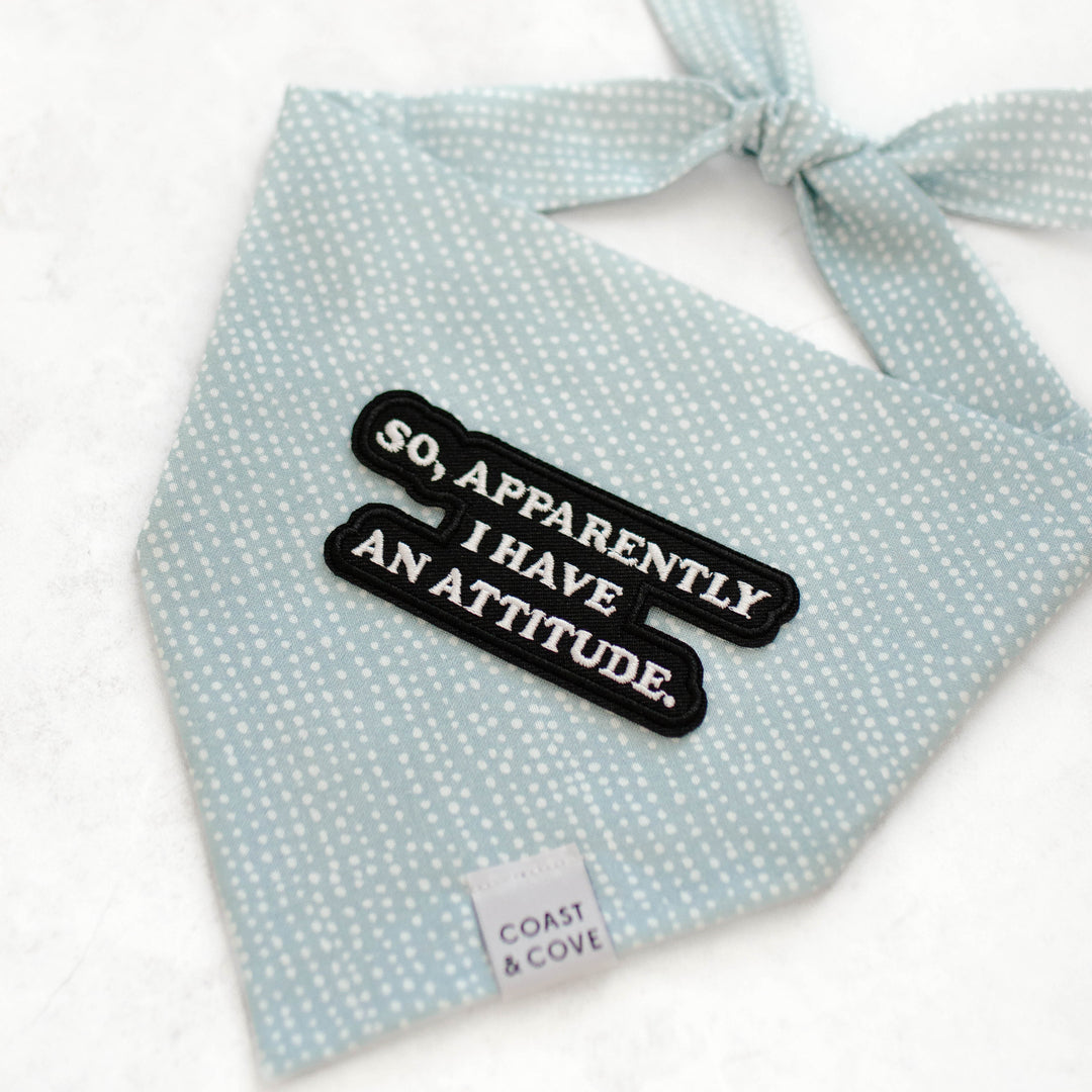 Apparent Attitude Bandana