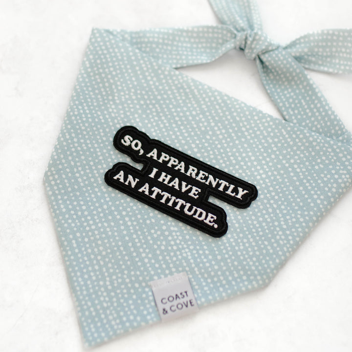 Apparent Attitude Bandana