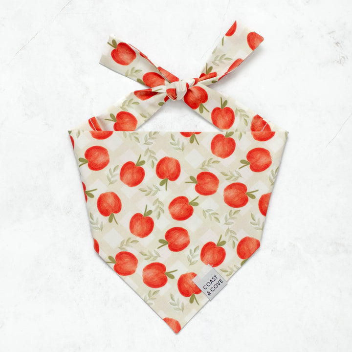 Apple Picking Bandana