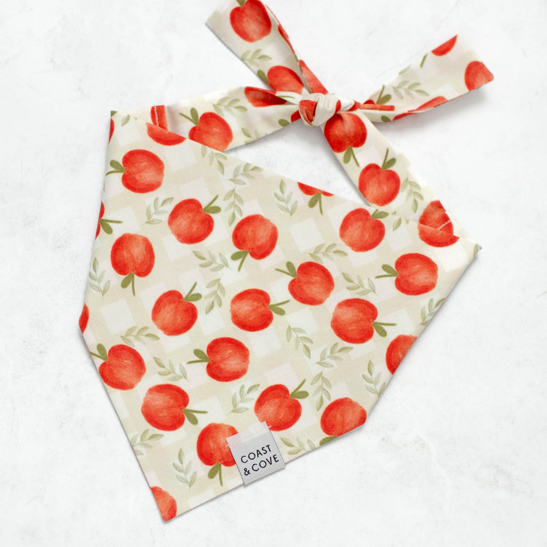 Apple Picking Bandana