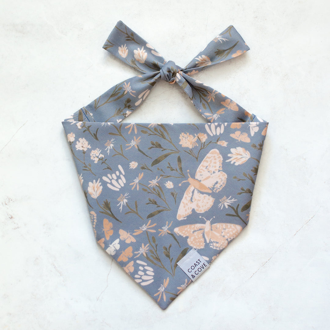 Autumn Nights Bandana
