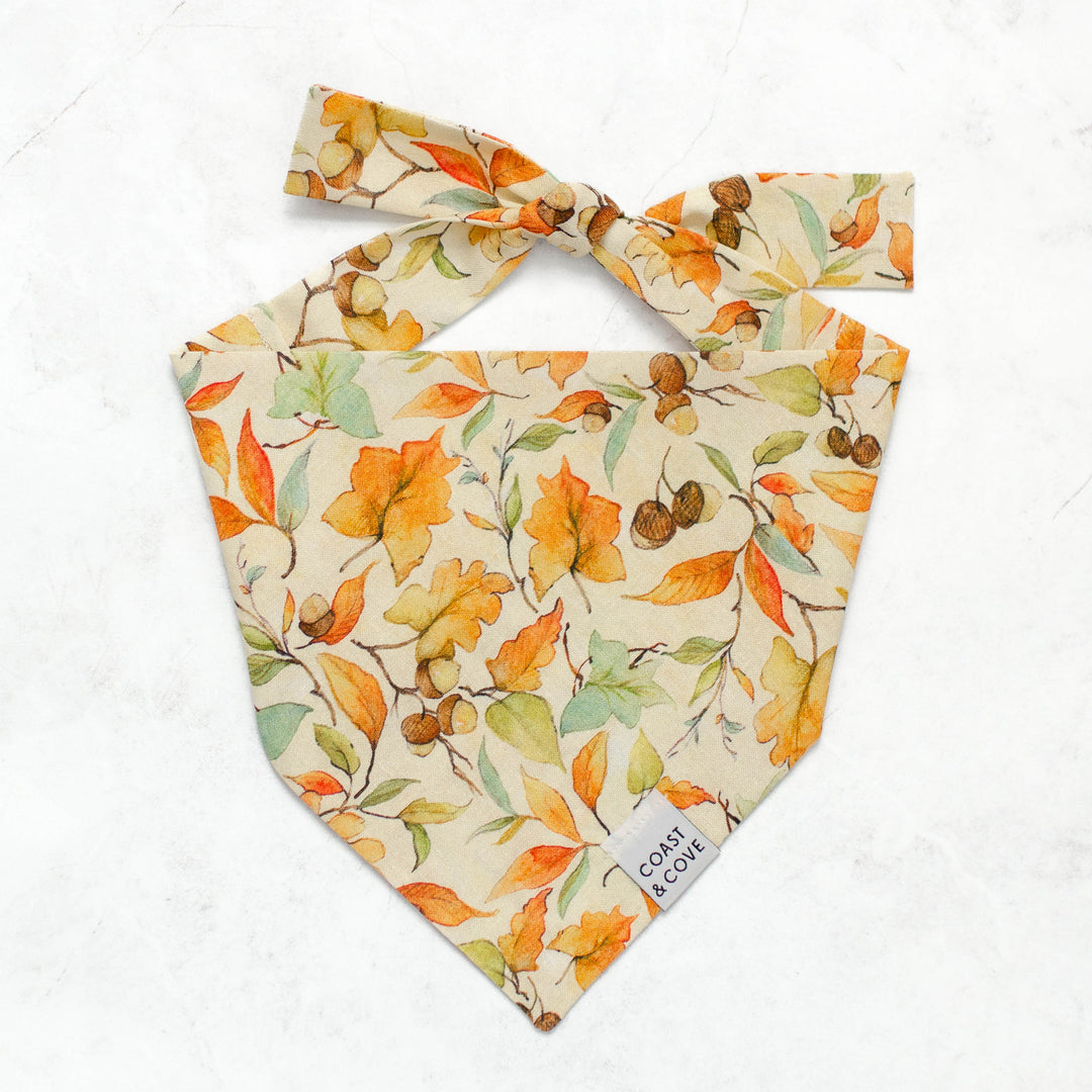 Autumn Walk Bandana