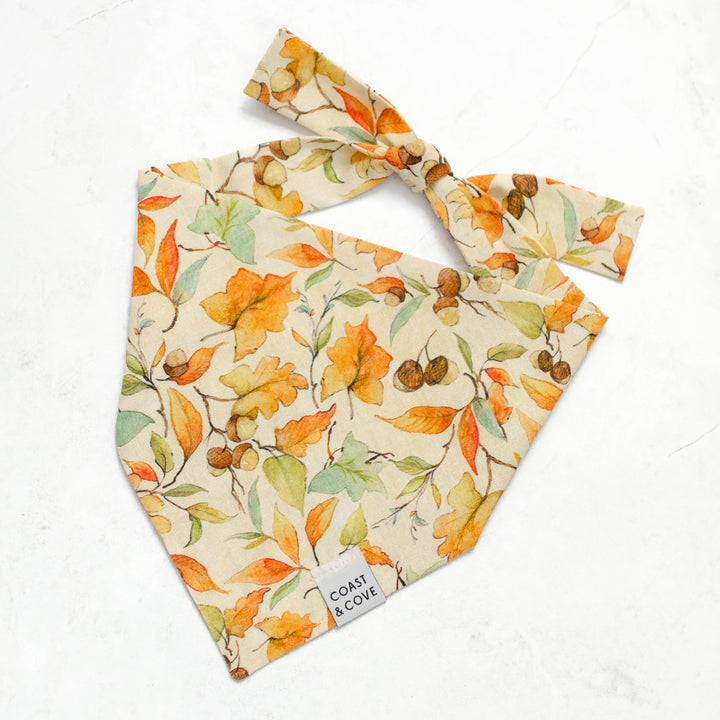 Autumn Walk Bandana