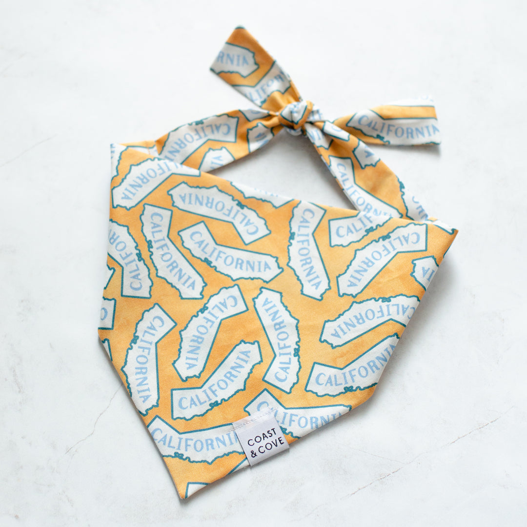 California Dreamin' Bandana