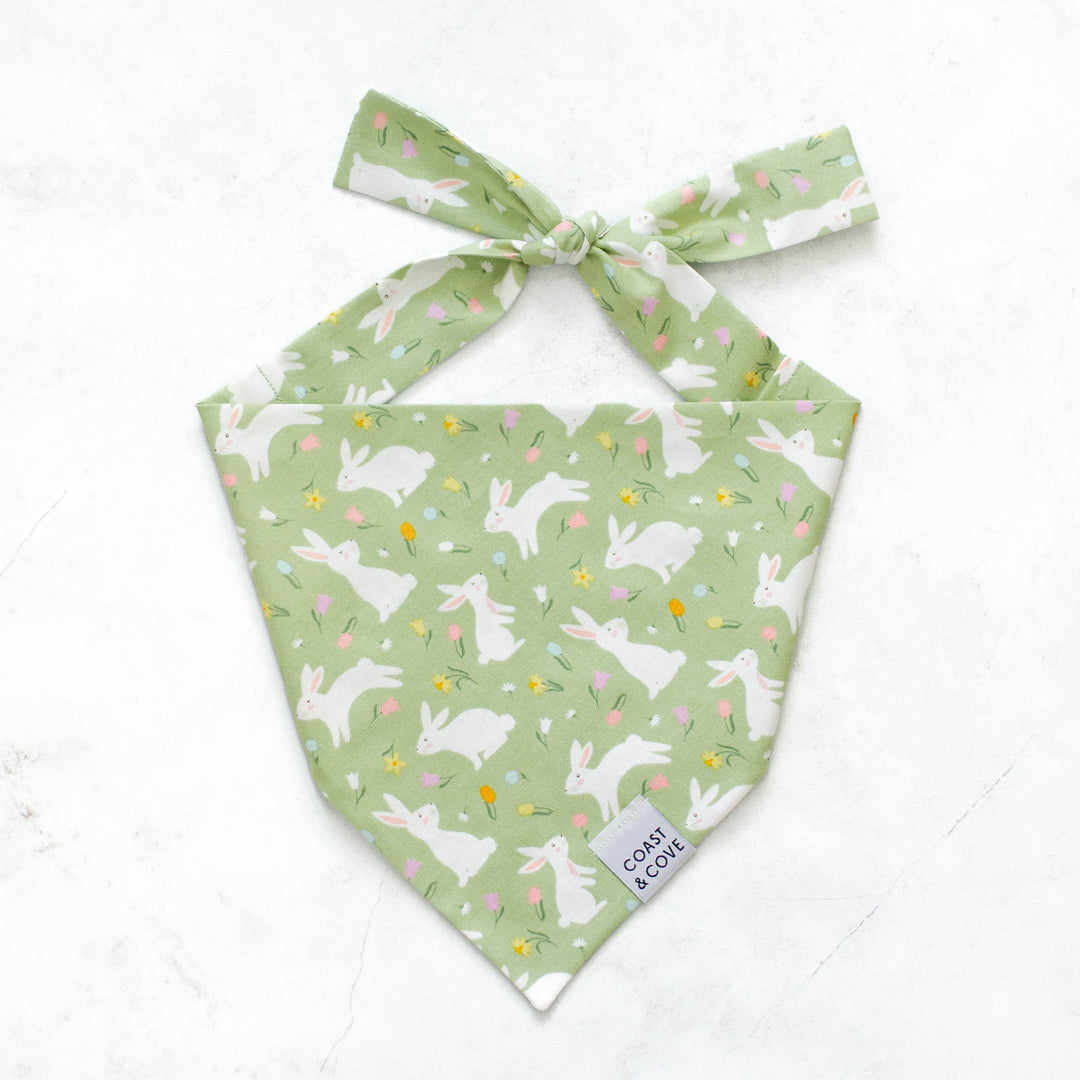 Hoppy Paws Bandana