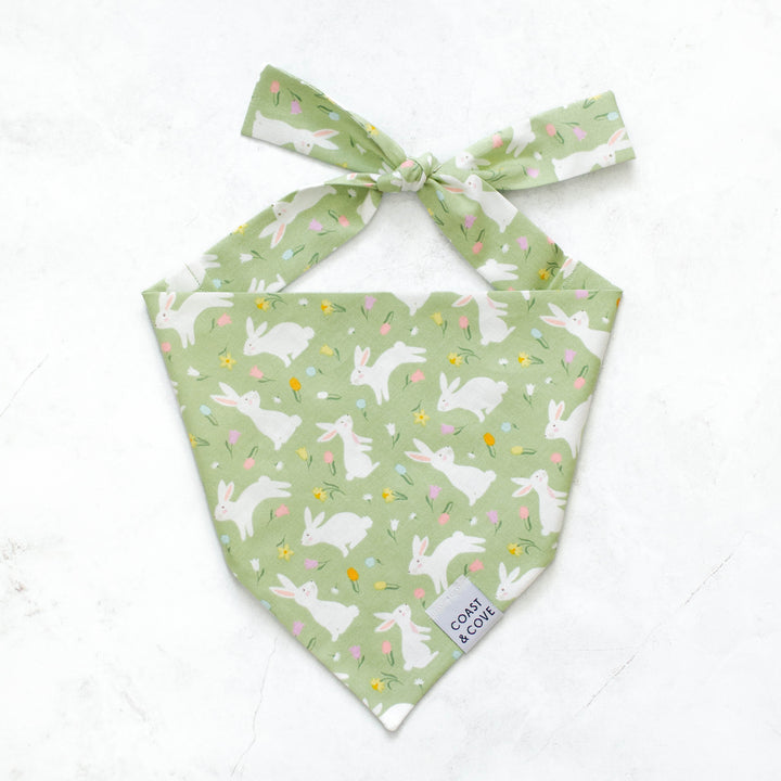 Hoppy Paws Bandana