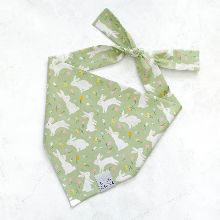 Hoppy Paws Bandana