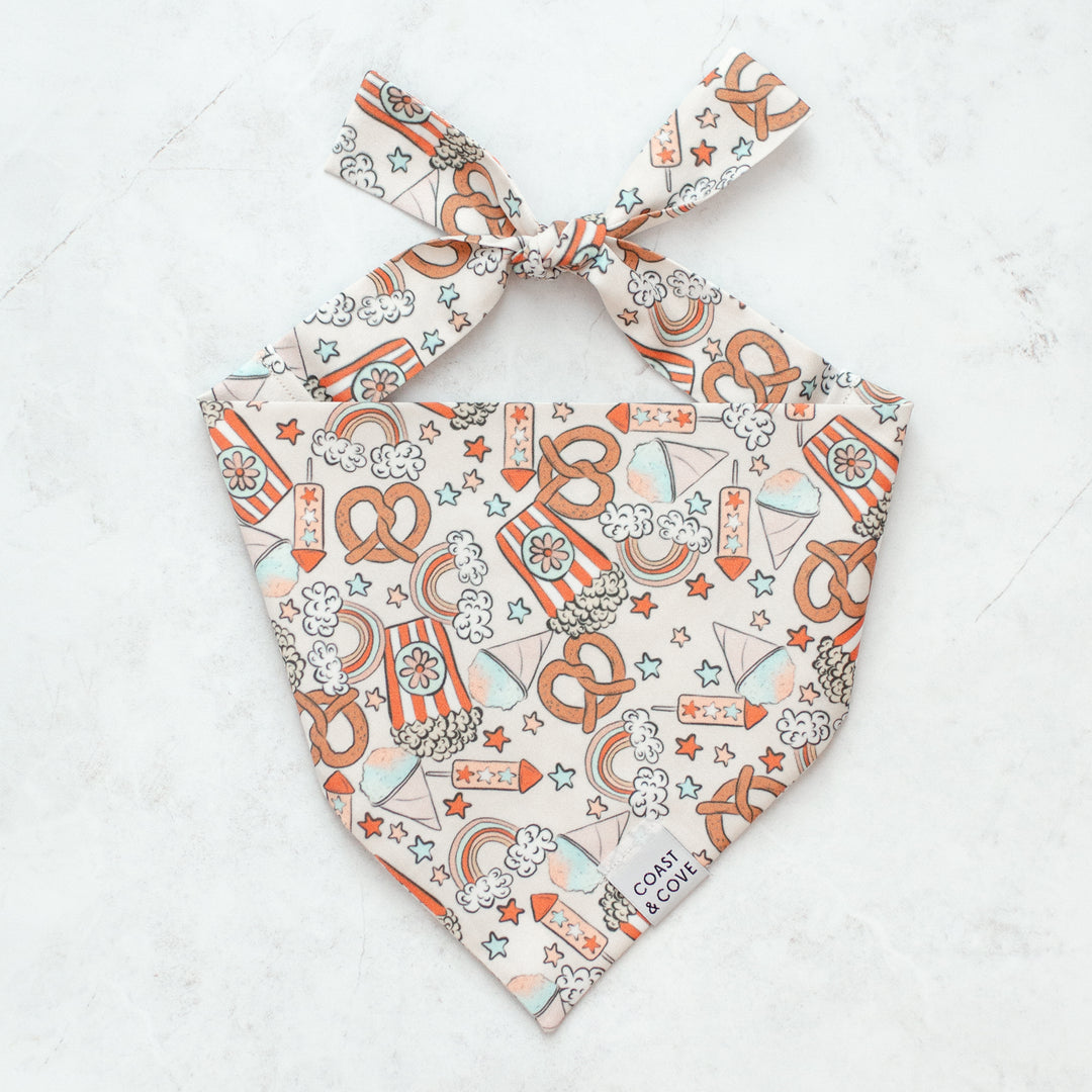 Party in the USA Bandana