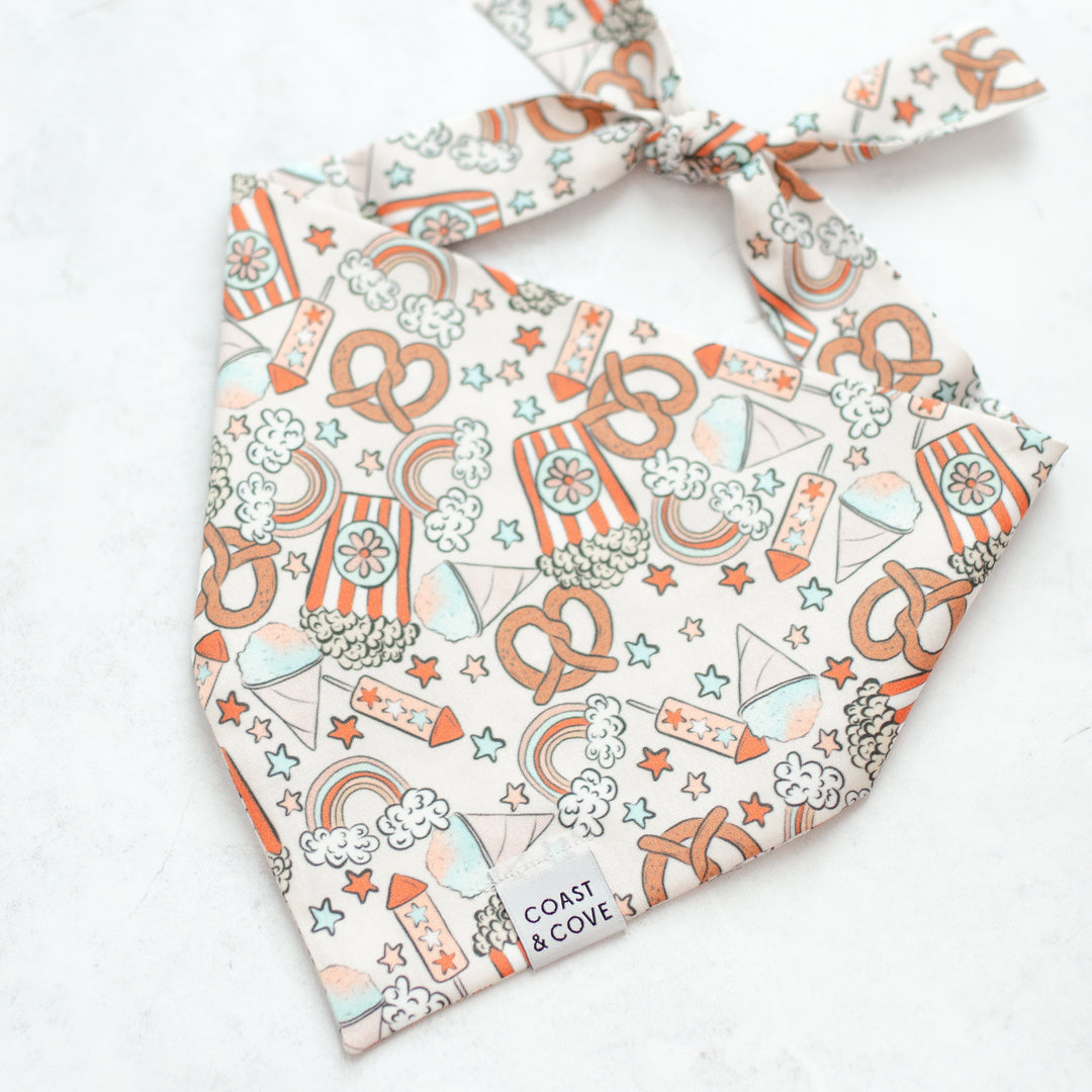 Party in the USA Bandana