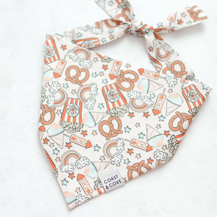 Party in the USA Bandana