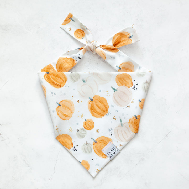 Pumpkin Patch Bandana