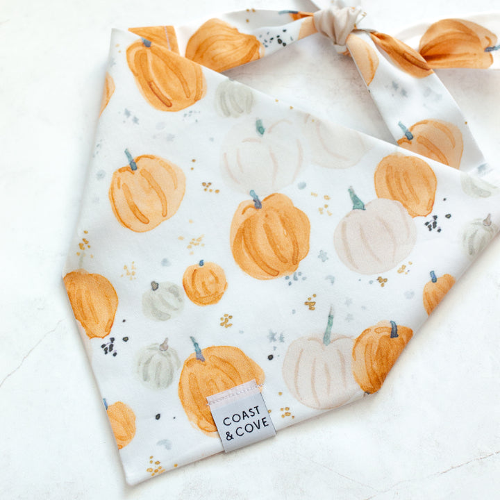 Pumpkin Patch Bandana
