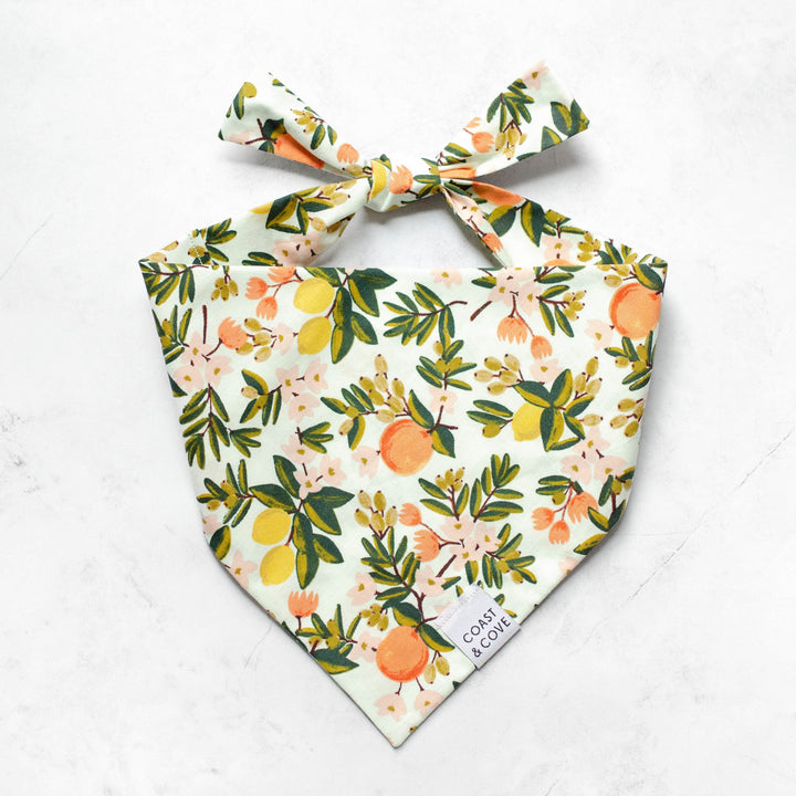 Sweet Clementine Bandana