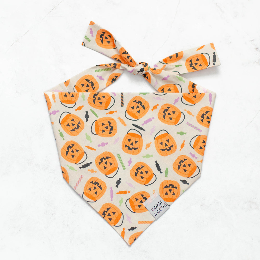 Trick-or-Treat Bandana