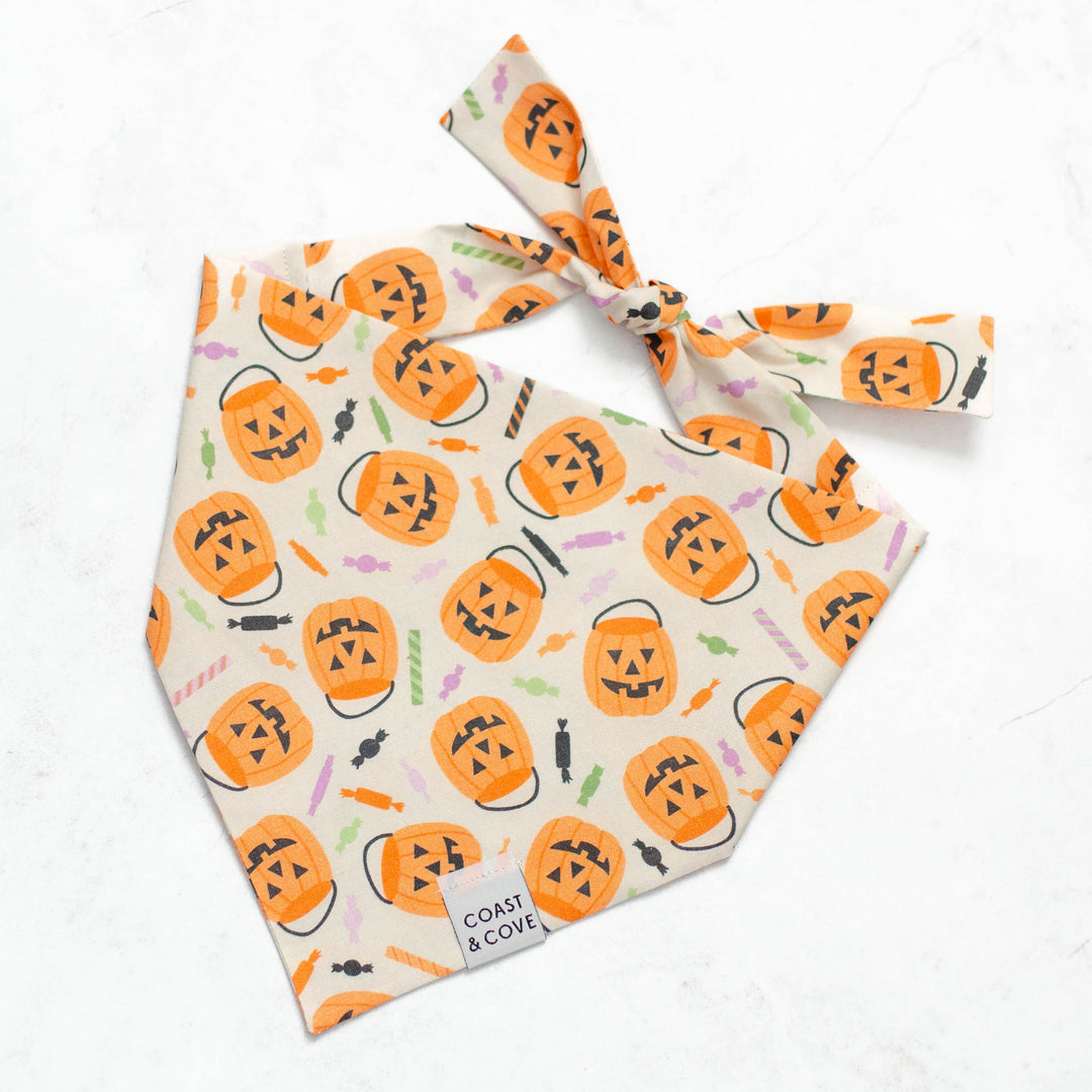 Trick-or-Treat Bandana