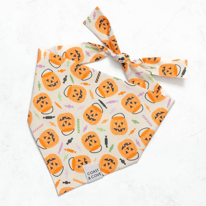 Trick-or-Treat Bandana