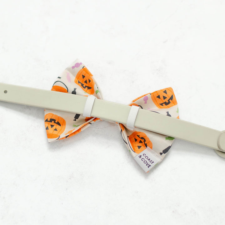 Trick-or-Treat Bow Tie