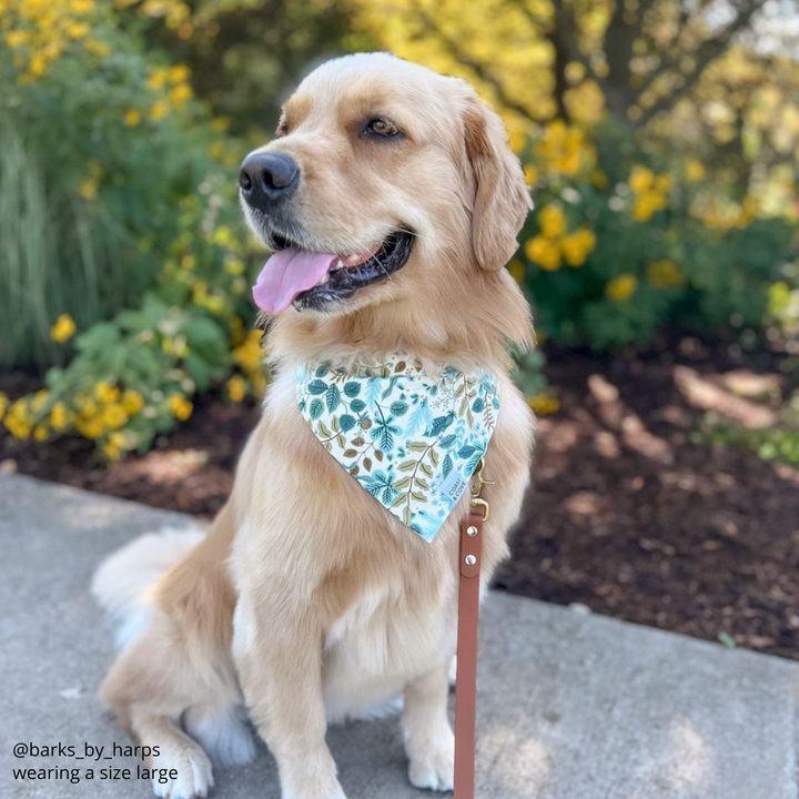 Vintage Garden in Cream Bandana