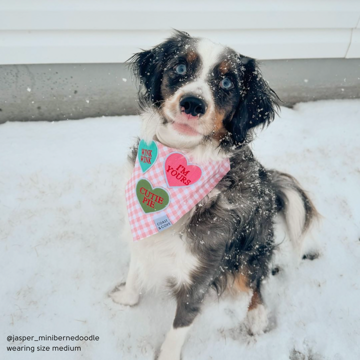 Candy Hearts Bandana