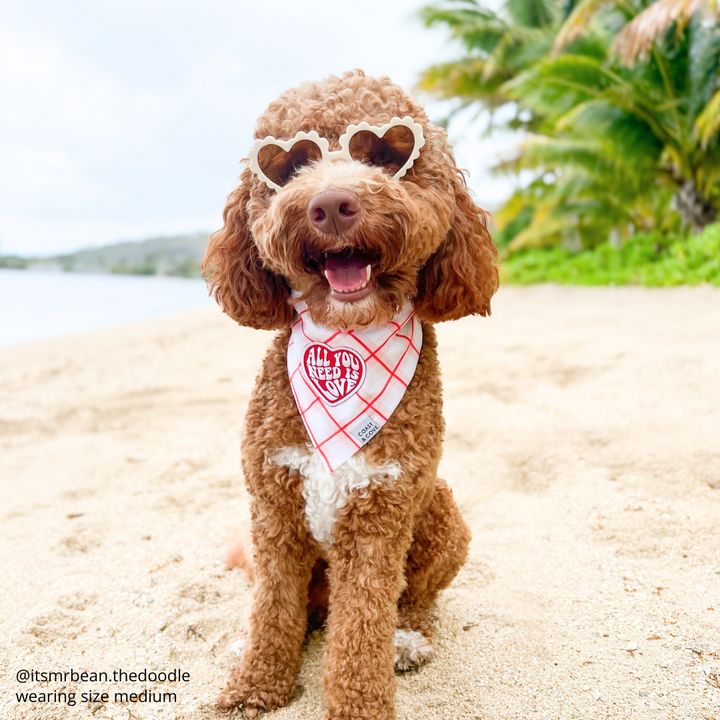 All You Need is Love Bandana