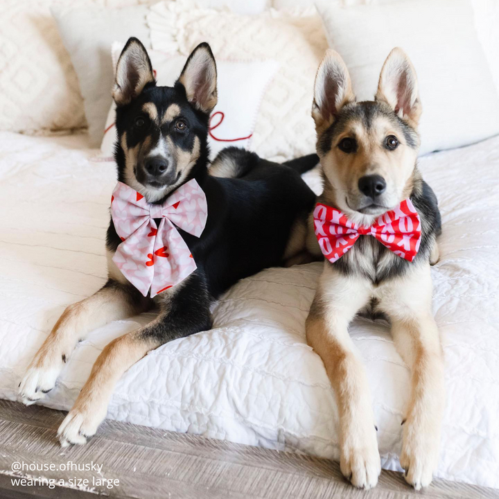Hugs & Kisses Bow Tie