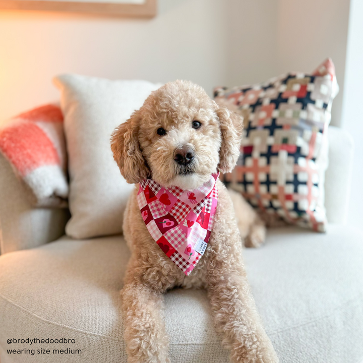 Sweetheart Patchwork Bandana