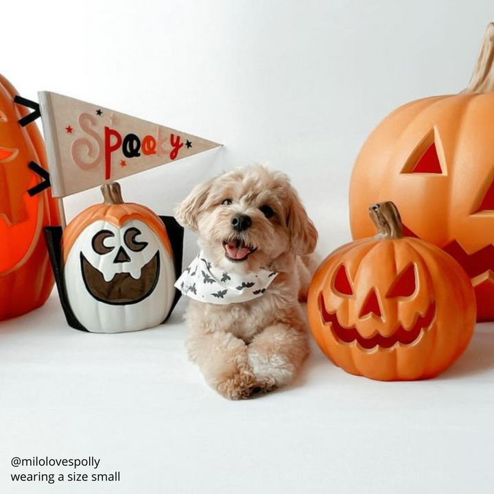 It's Freakin' Bats Bandana