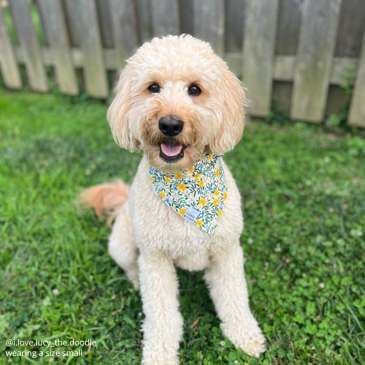 Wildflower Bandana
