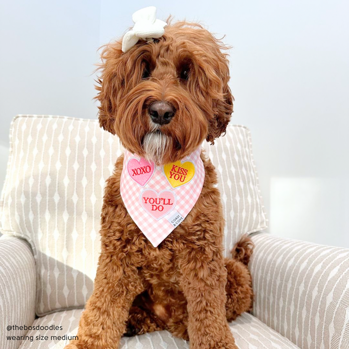 Candy Hearts Bandana