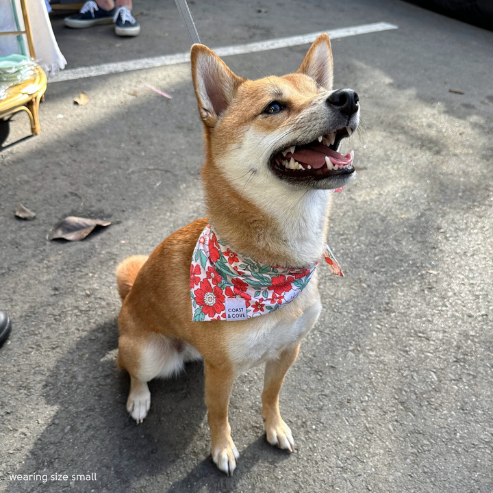 Christmas Floral Bandana