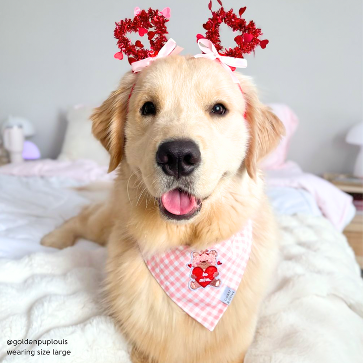 Be Mine Bear Bandana