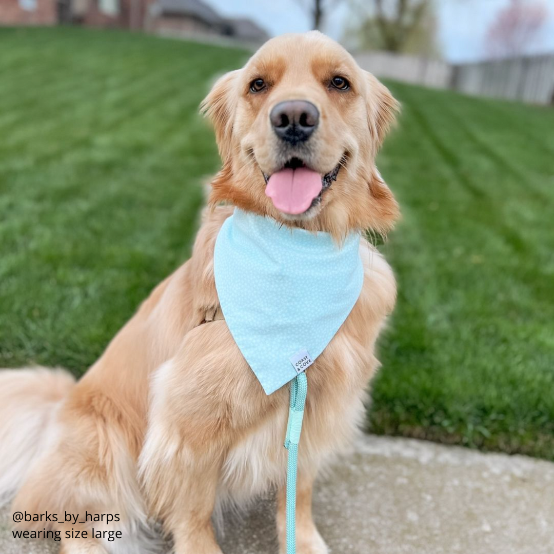 Jax Bandana