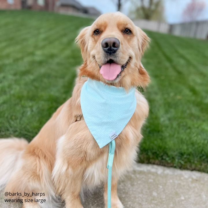 Jax Bandana