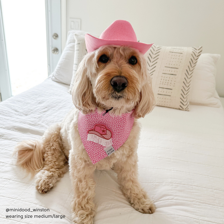 Cowboy Hat for Dogs