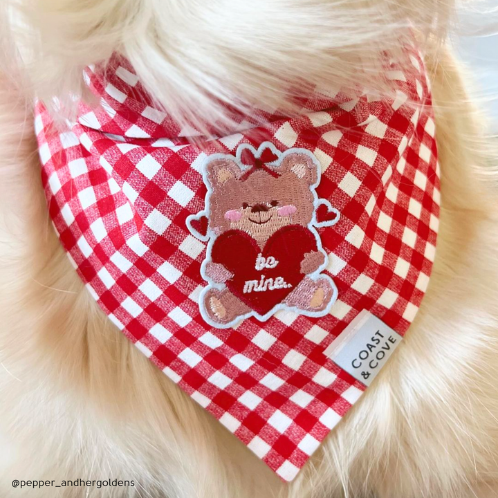 Be Mine Bear Bandana