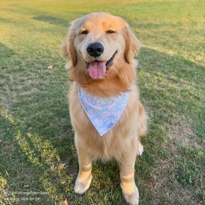 Home Run Bandana