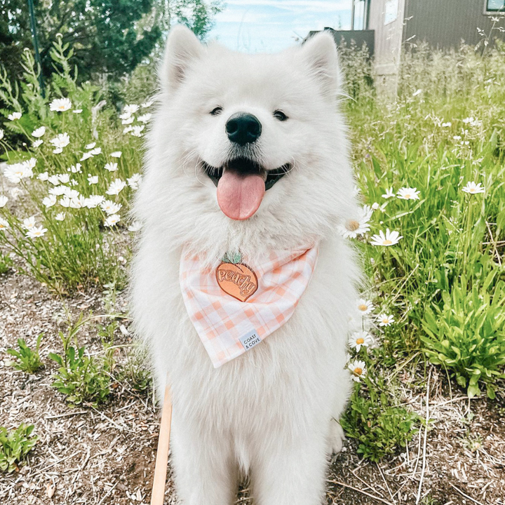 Just Peachy Bandana