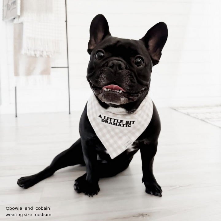 A Little Bit Dramatic Bandana