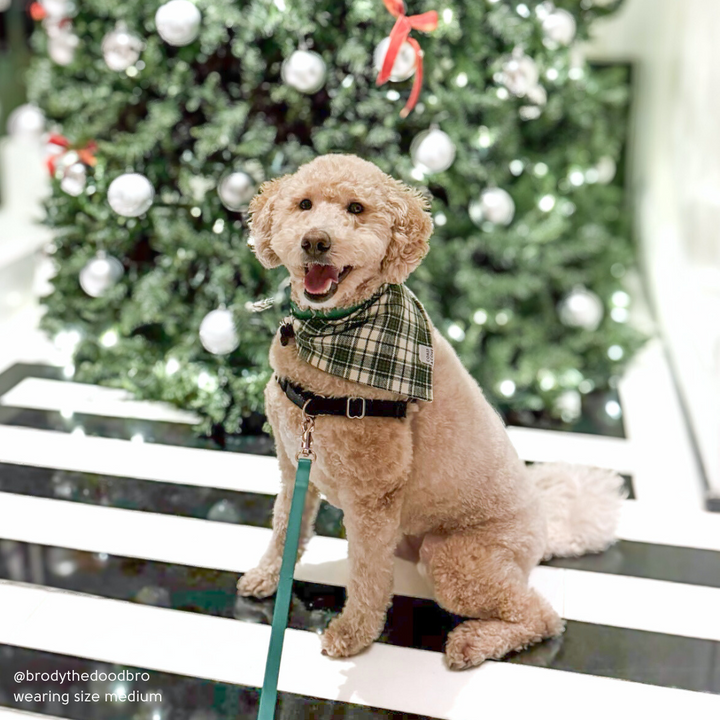 Winter Pine Plaid Flannel Bandana