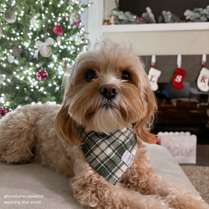 Winter Pine Plaid Flannel Bandana