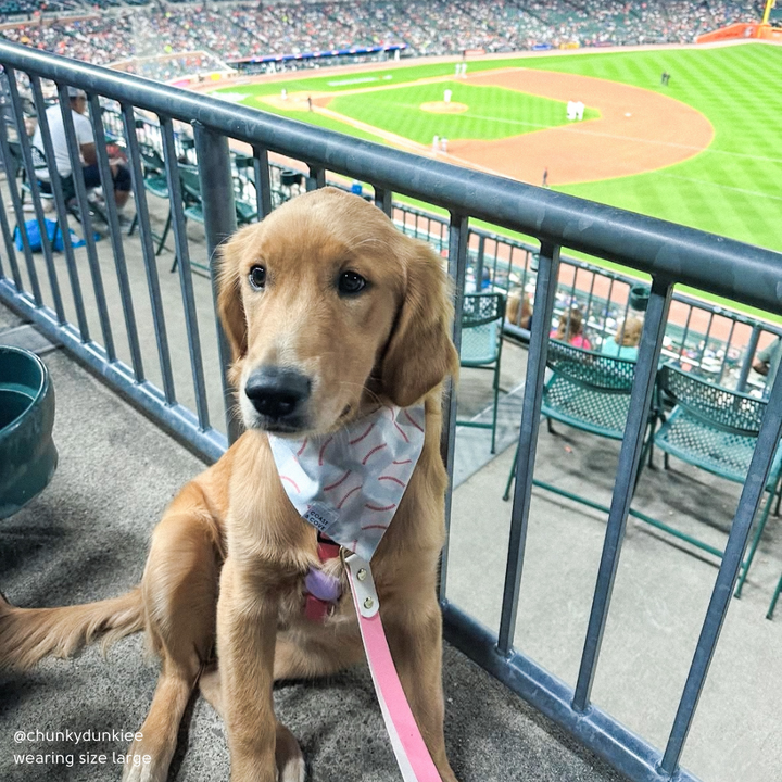 Home Run Bandana