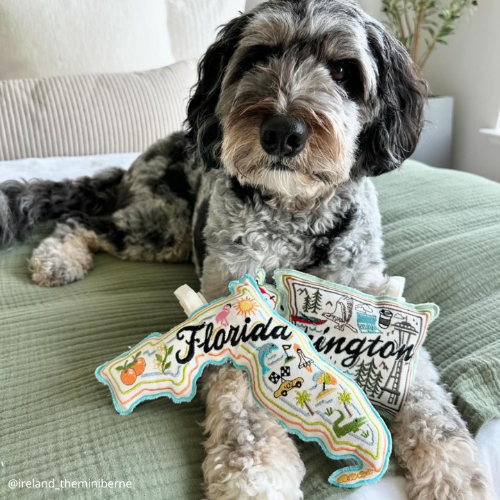 Washington State Embroidered Squeak Toy