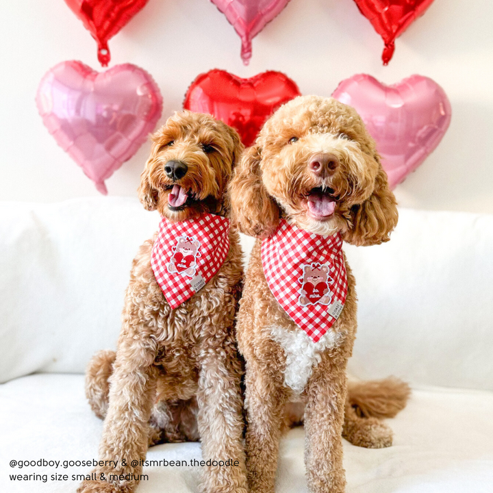 Be Mine Bear Bandana