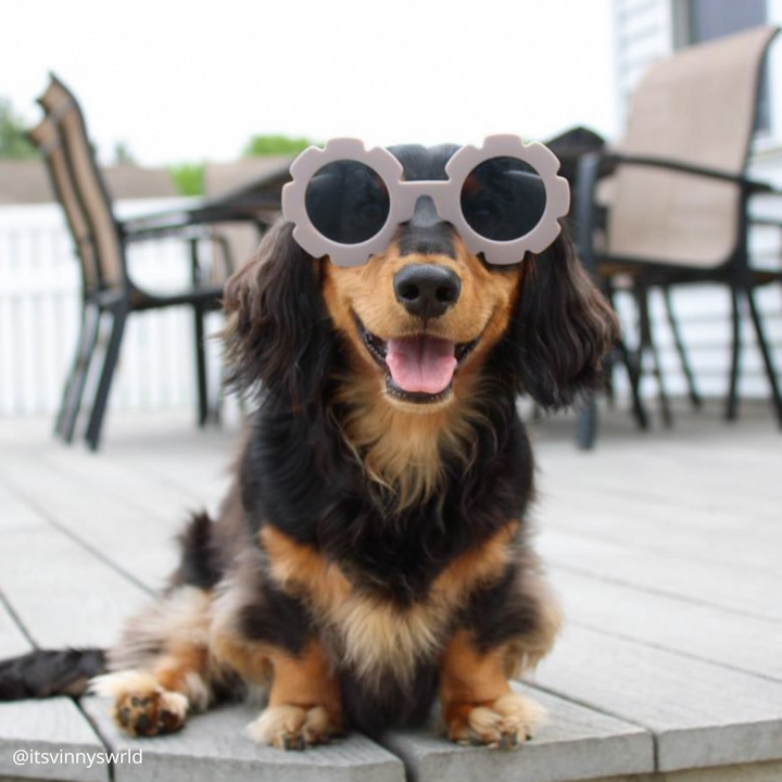 Flower Sunglasses